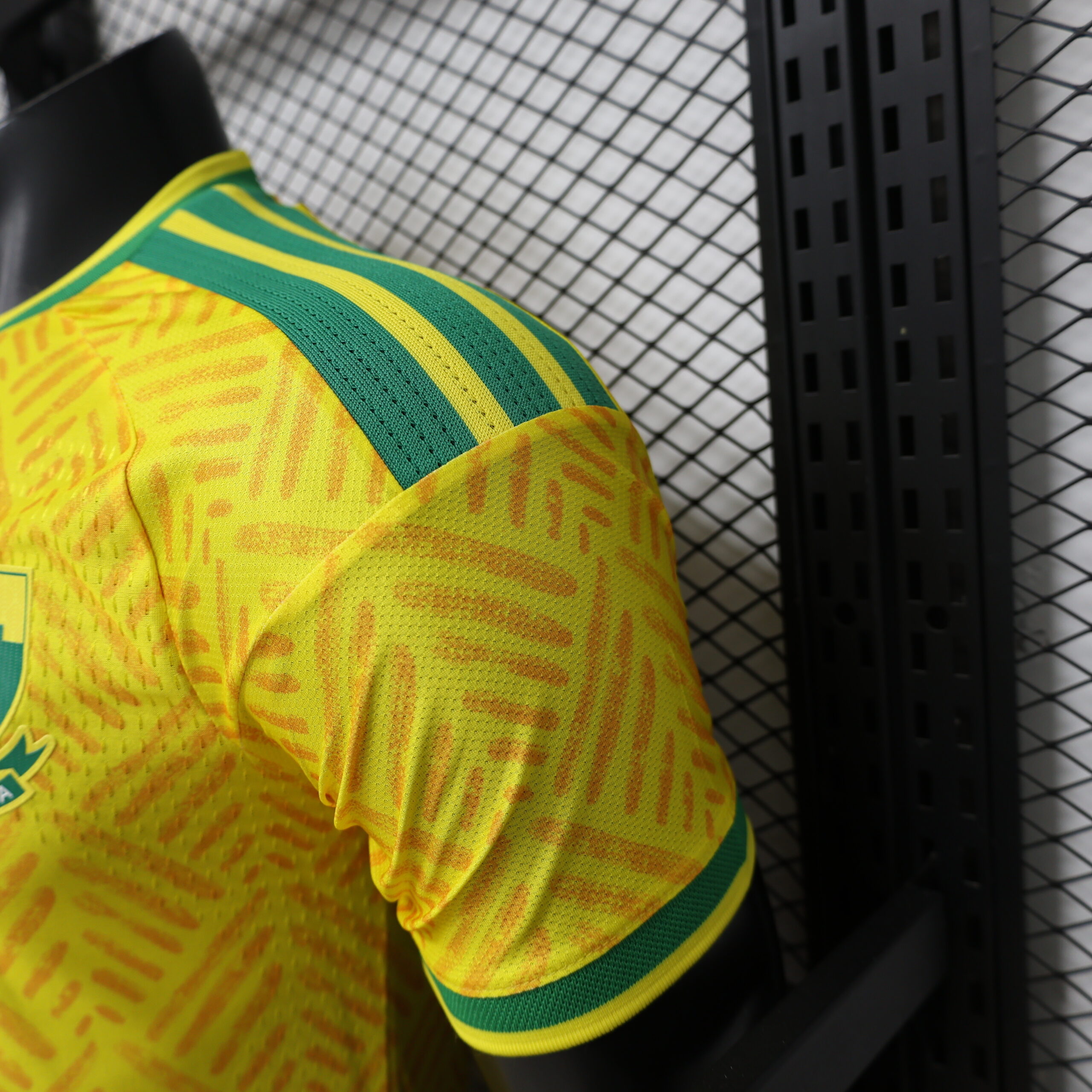 26.27 South Africa Home Player Version 5