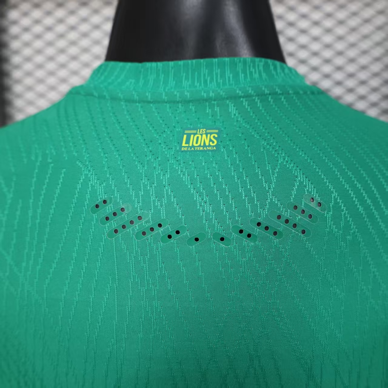 Senegal Double Star Player Version Jersey 1
