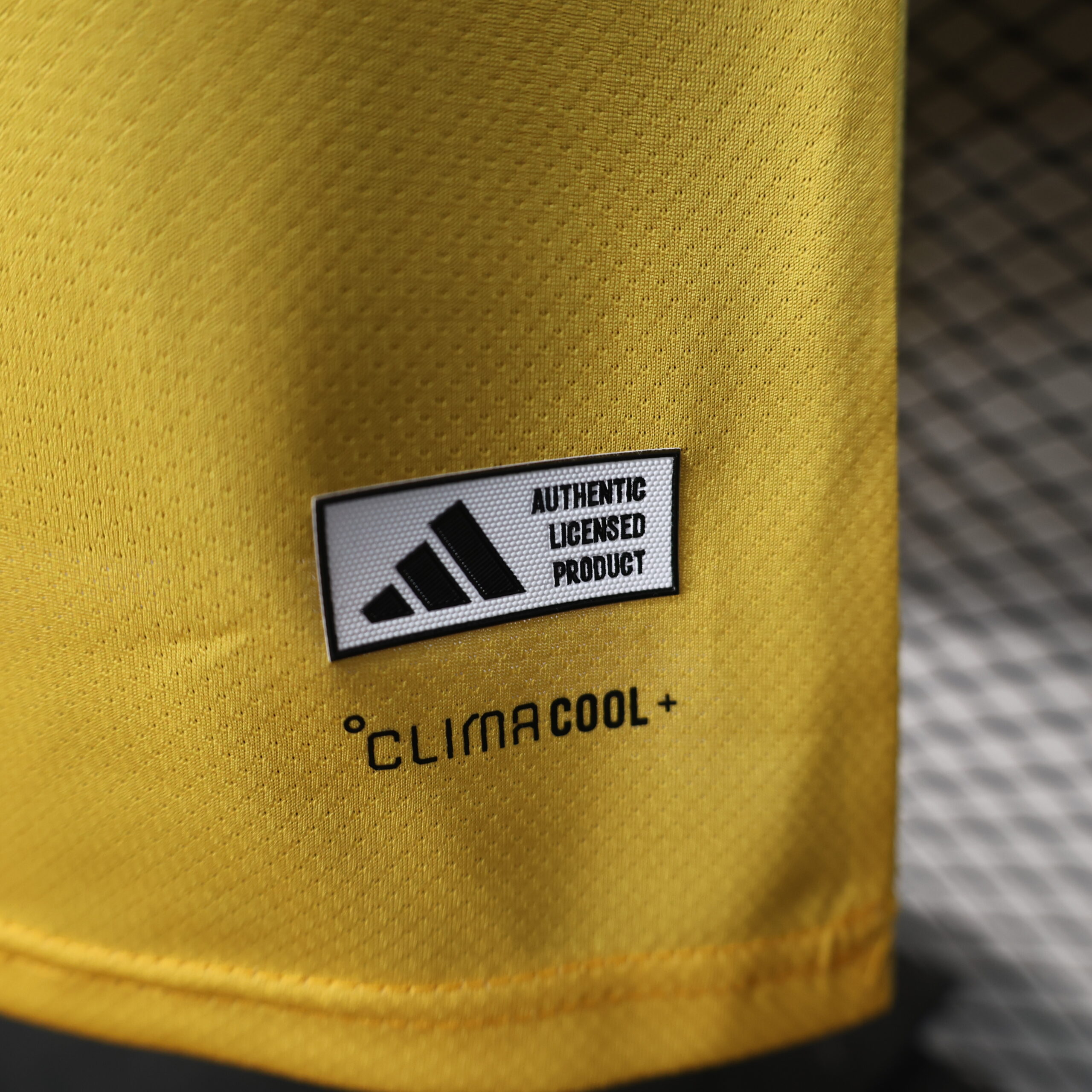 Colombia Special Edition Player Version 2