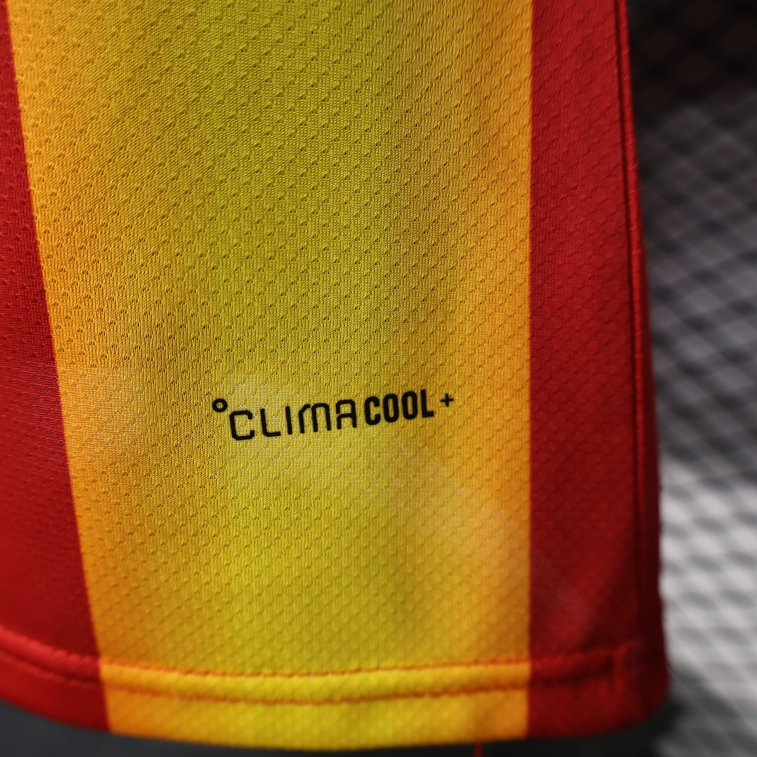 Spain Special Edition Player Version 2