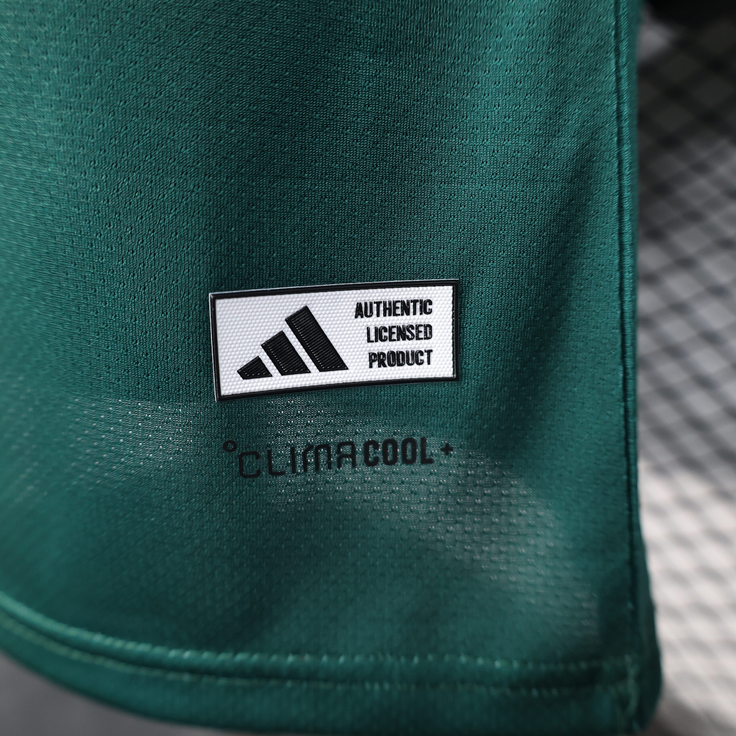 Saudi Arabia Special Edition Player Version Jersey 2