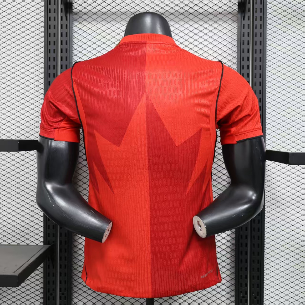 26 Canada Home Player Version 2