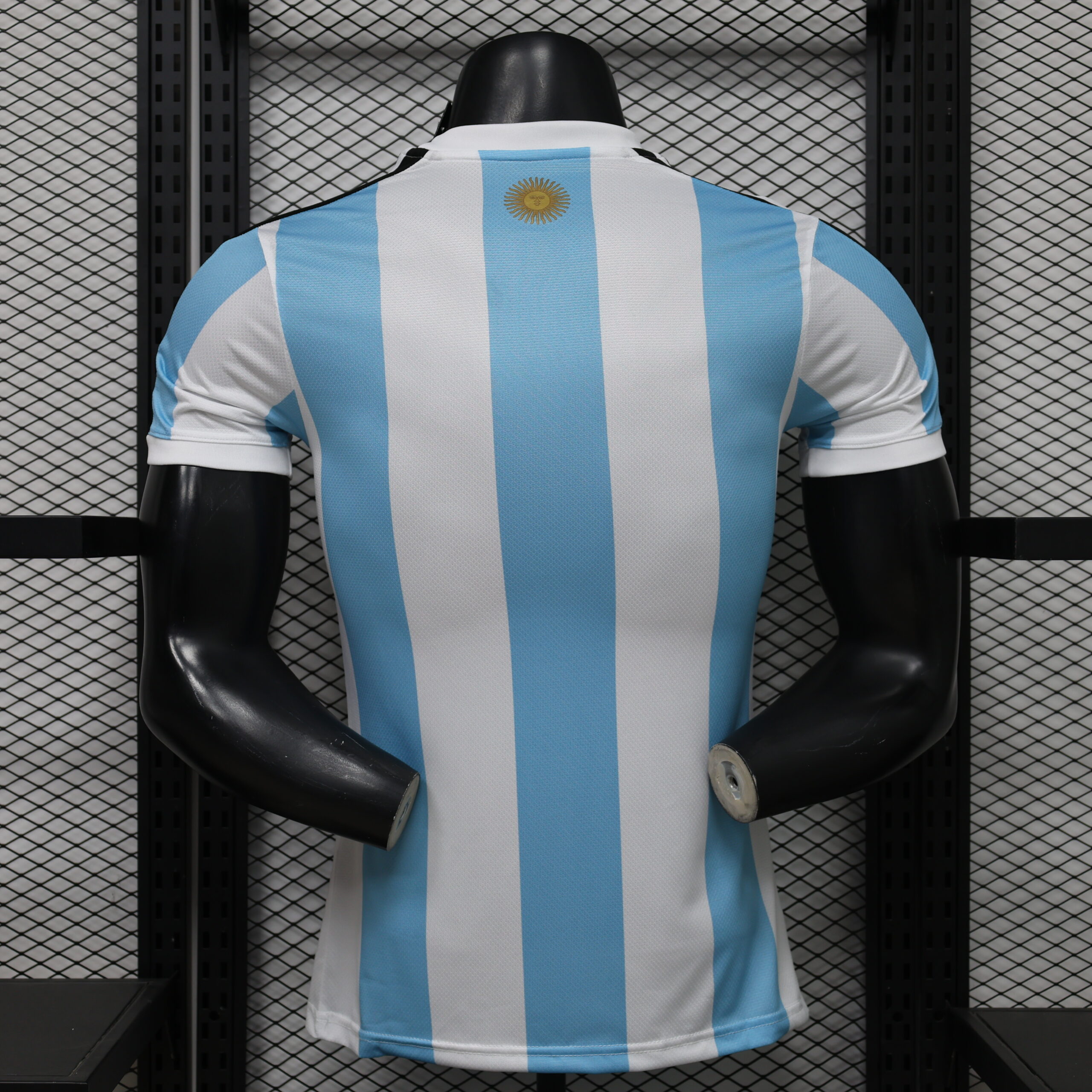 Argentina Special Edition Player Version 2