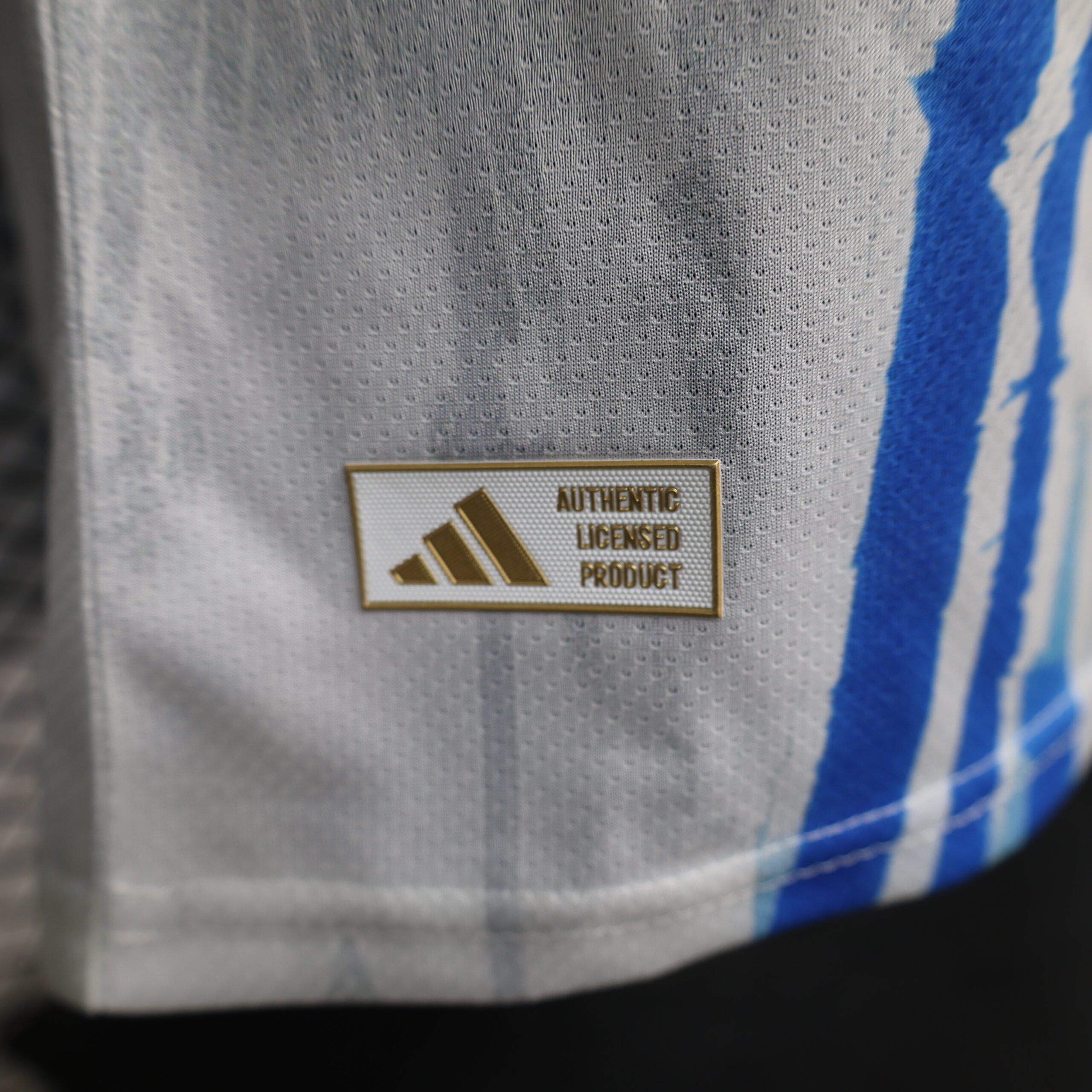 Argentina Special Edition Player Version 3