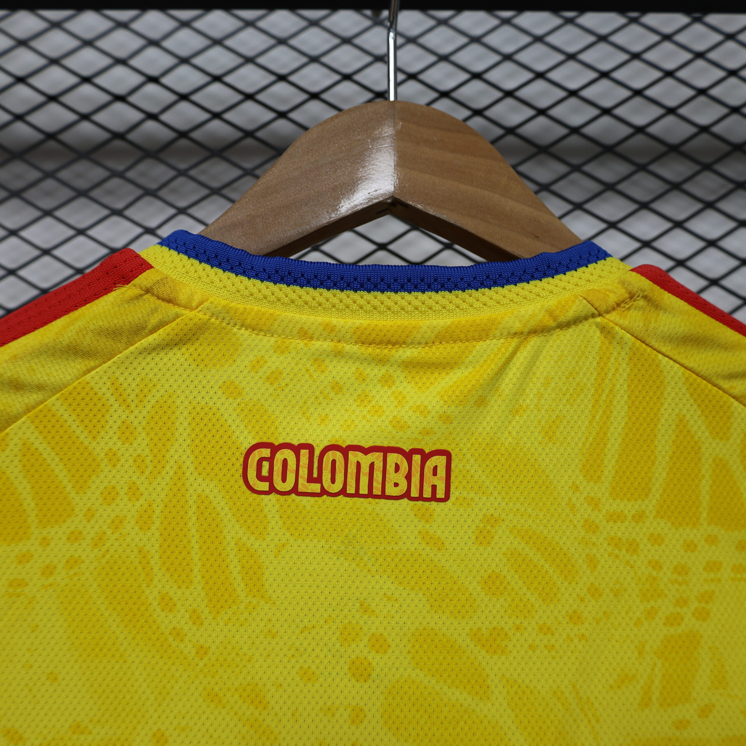 Colombia Women's Player Version Shorts 3