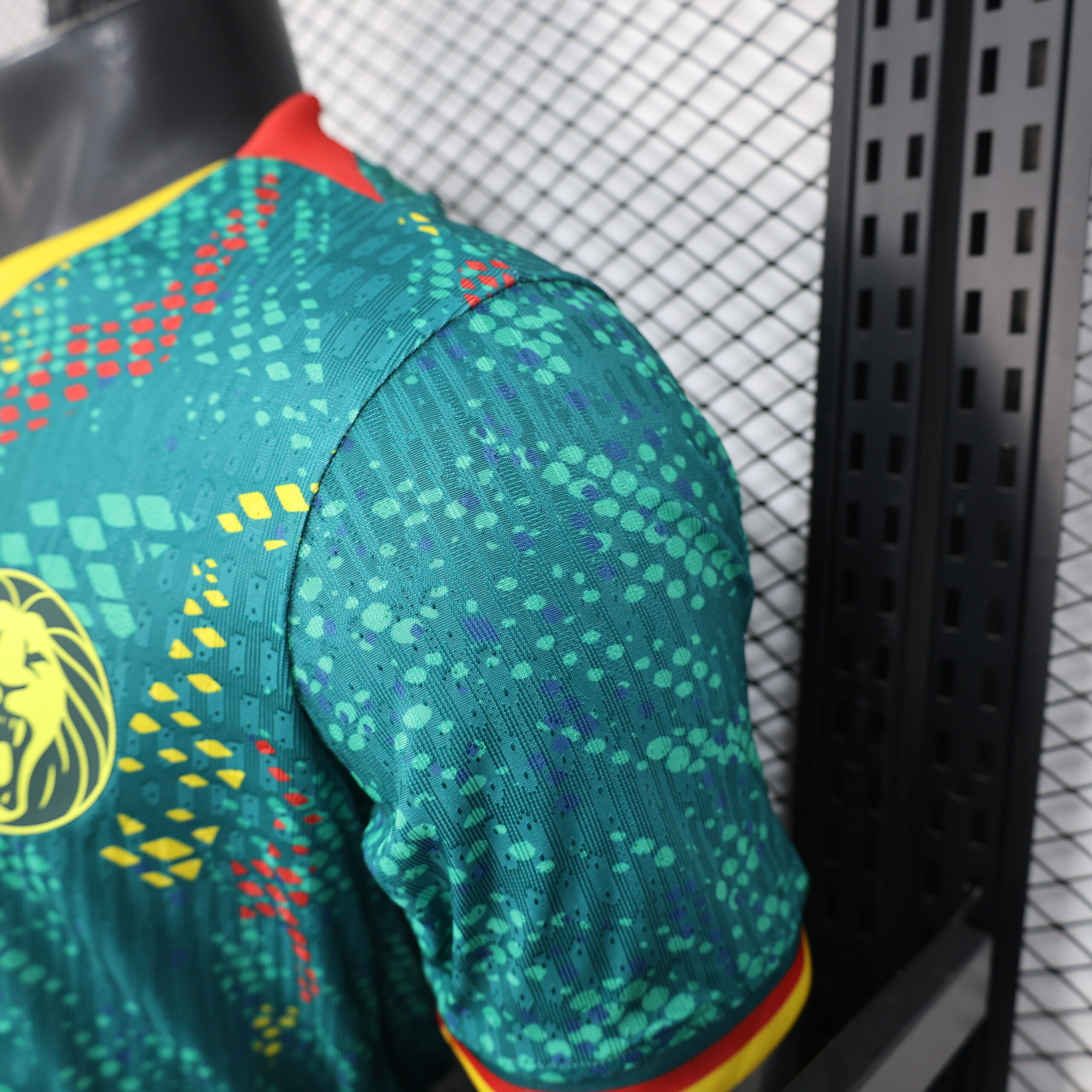 26 Cameroon Player Version 4