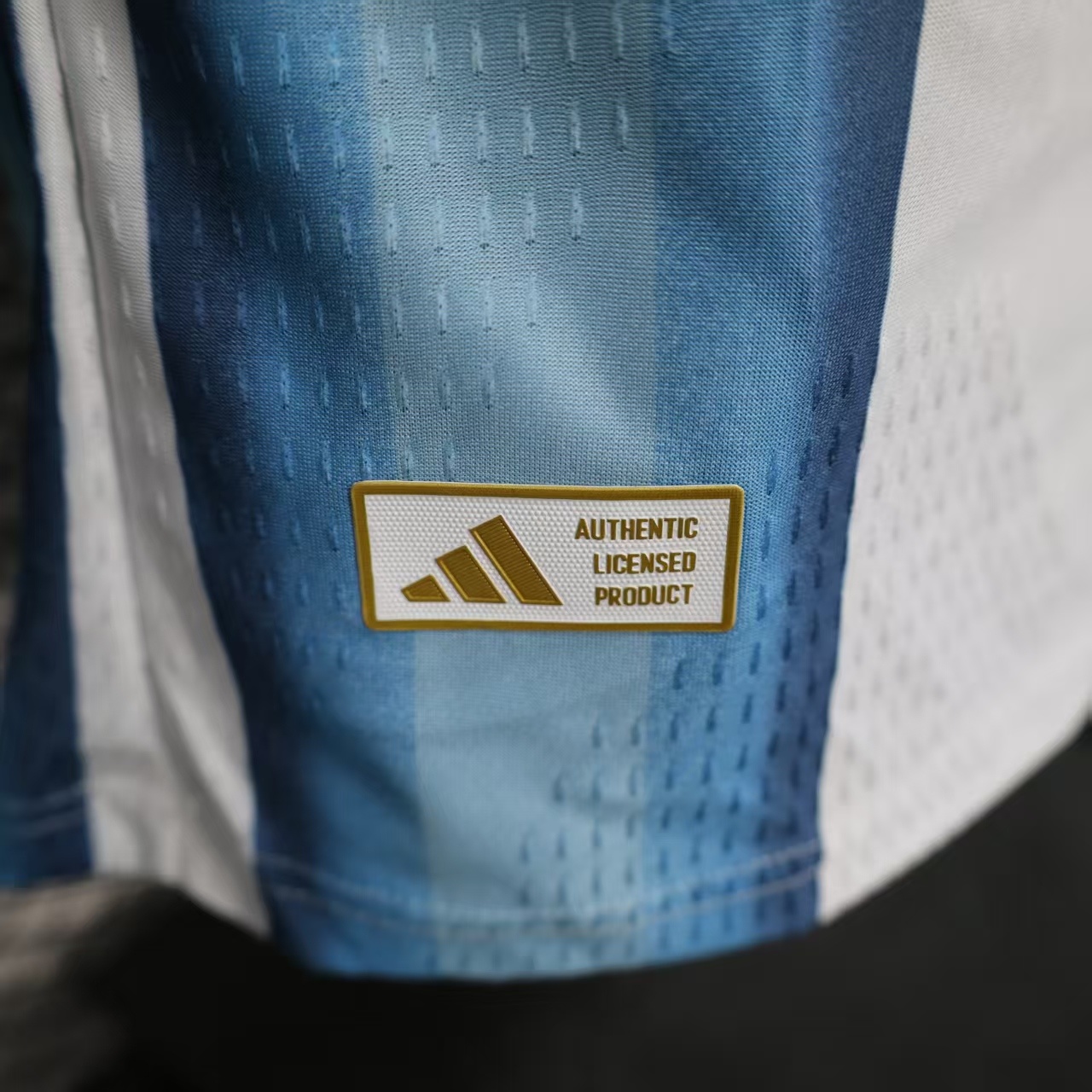 26 Argentina Home Long Sleeve Jersey S-3XL 4