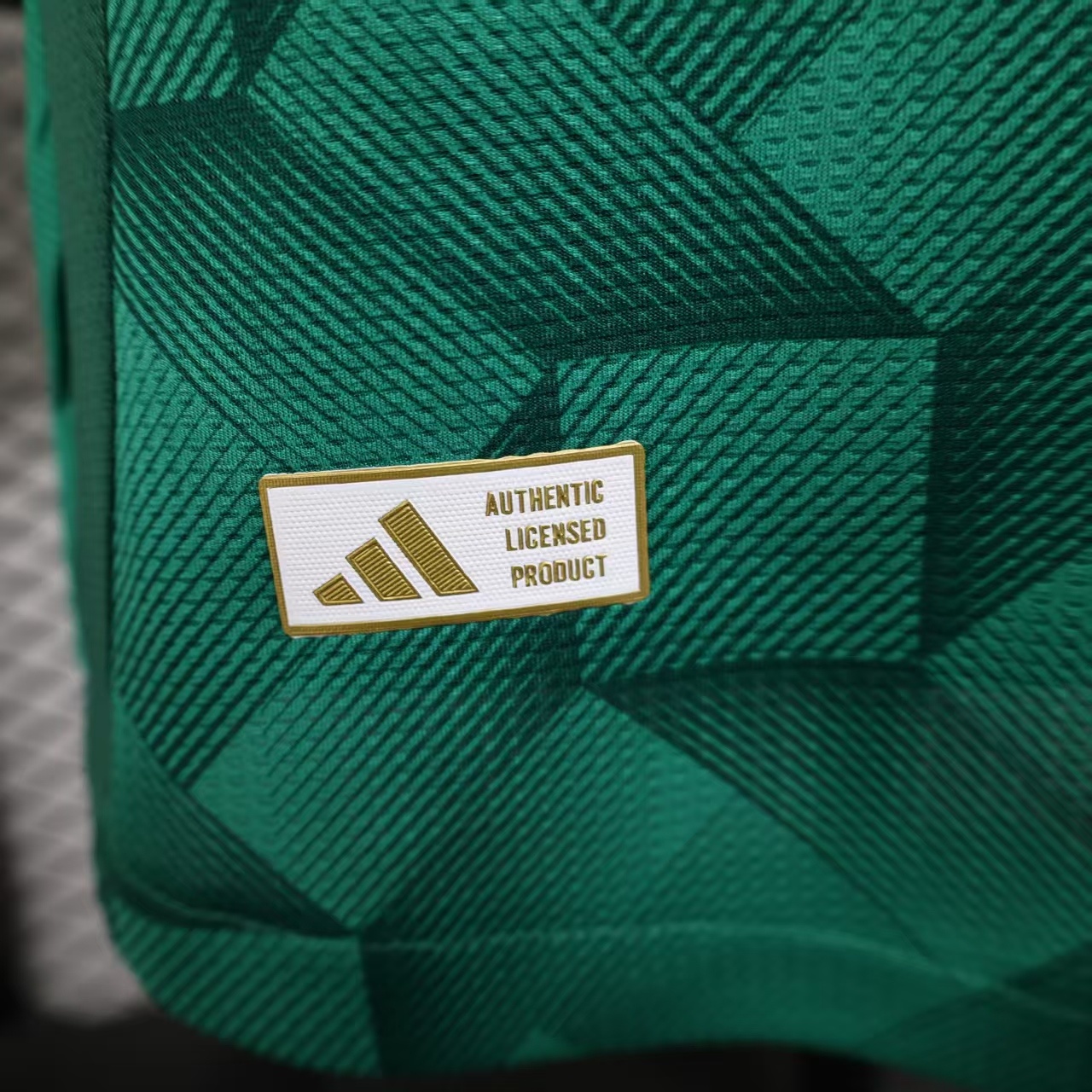 Saudi Arabia Home 4