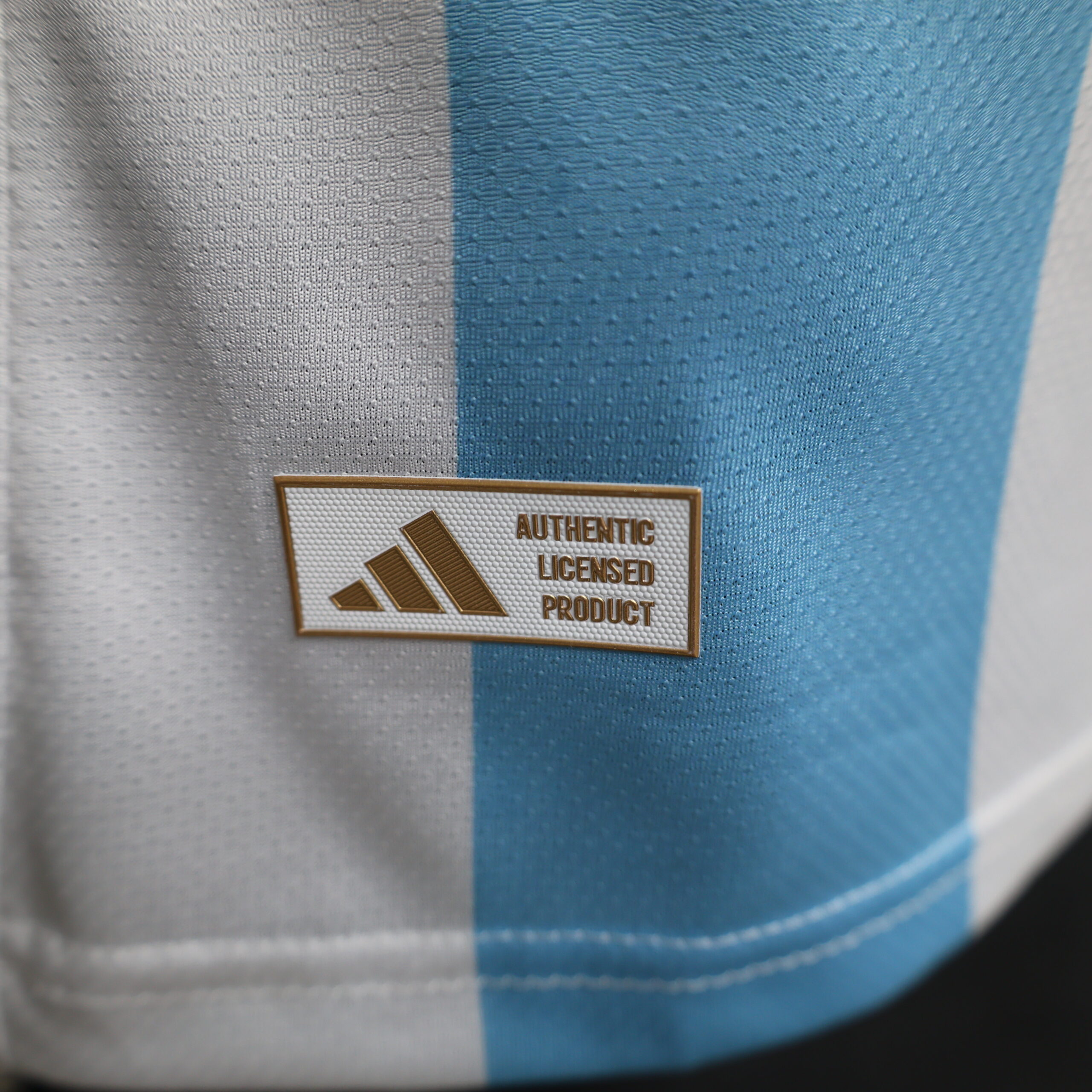 Argentina Special Edition Player Version 4