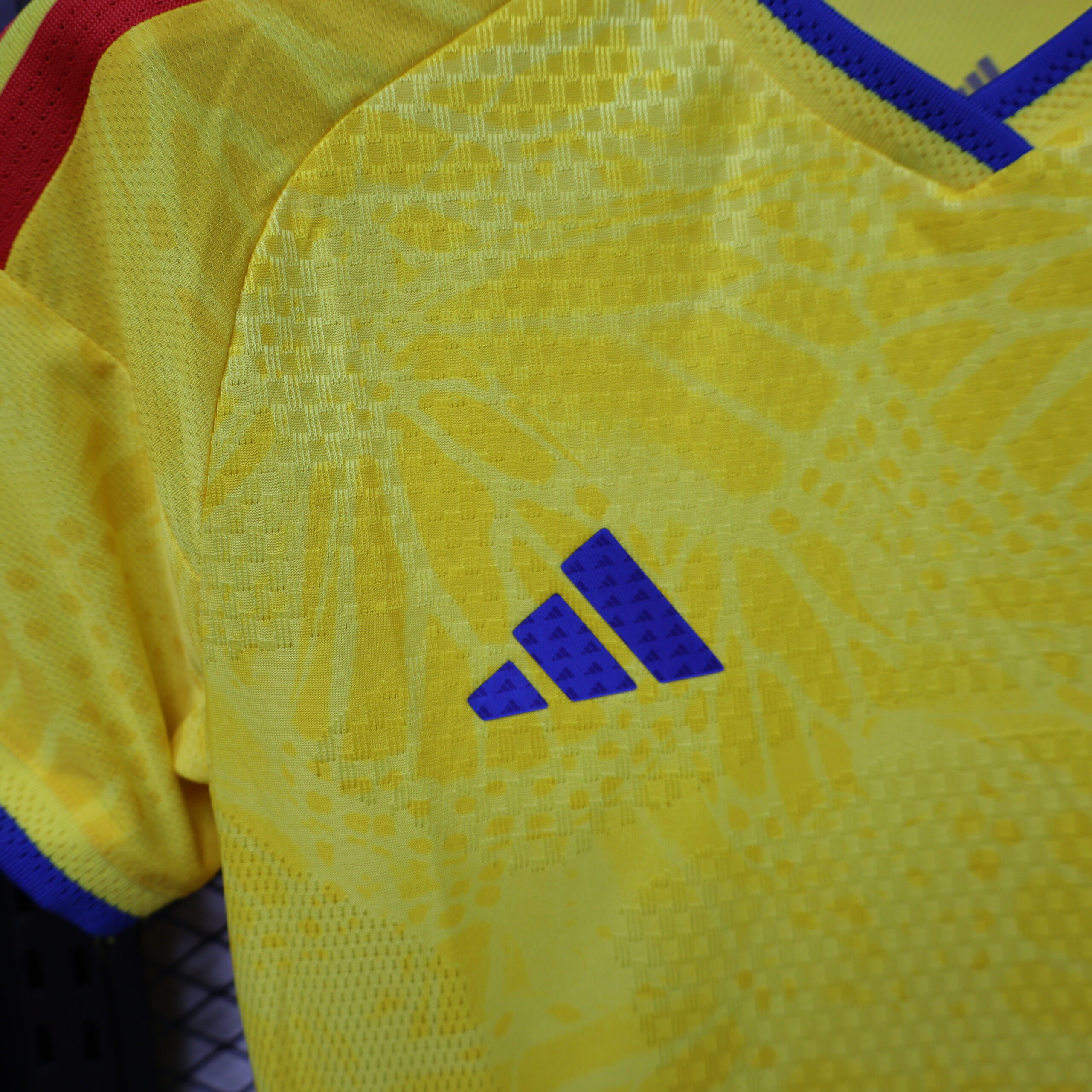 Colombia Women's Player Version Shorts 4