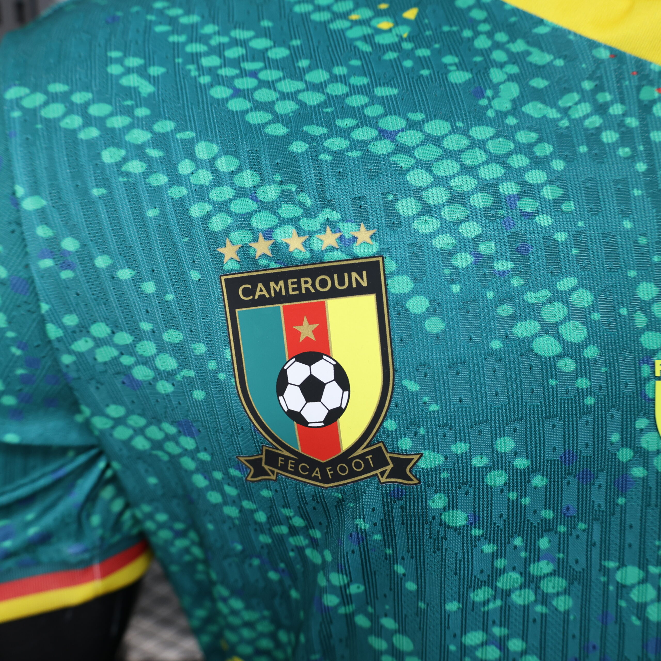 26 Cameroon Player Version 5
