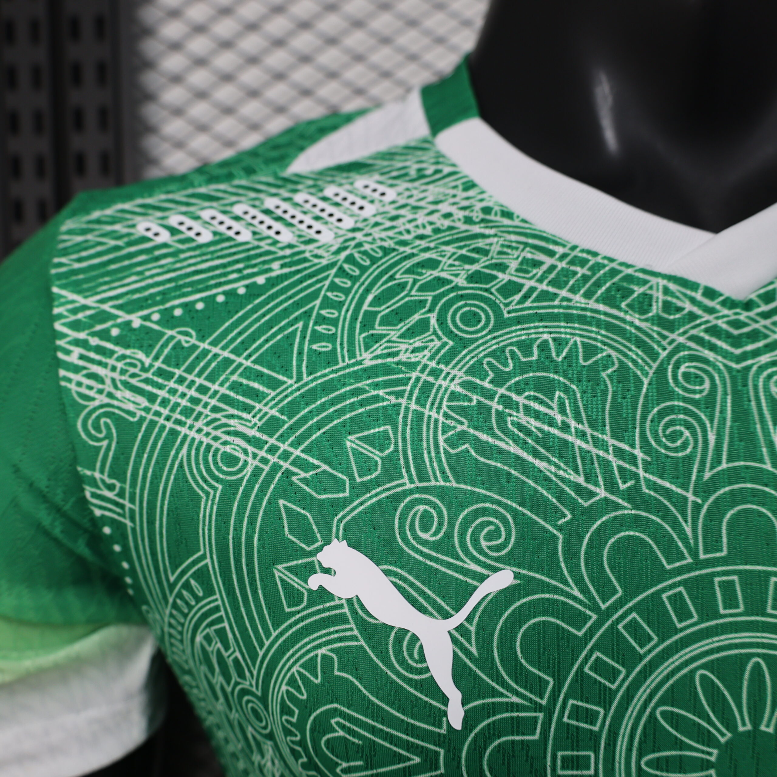 Ivory Coast Special Edition Player Version Jersey 5