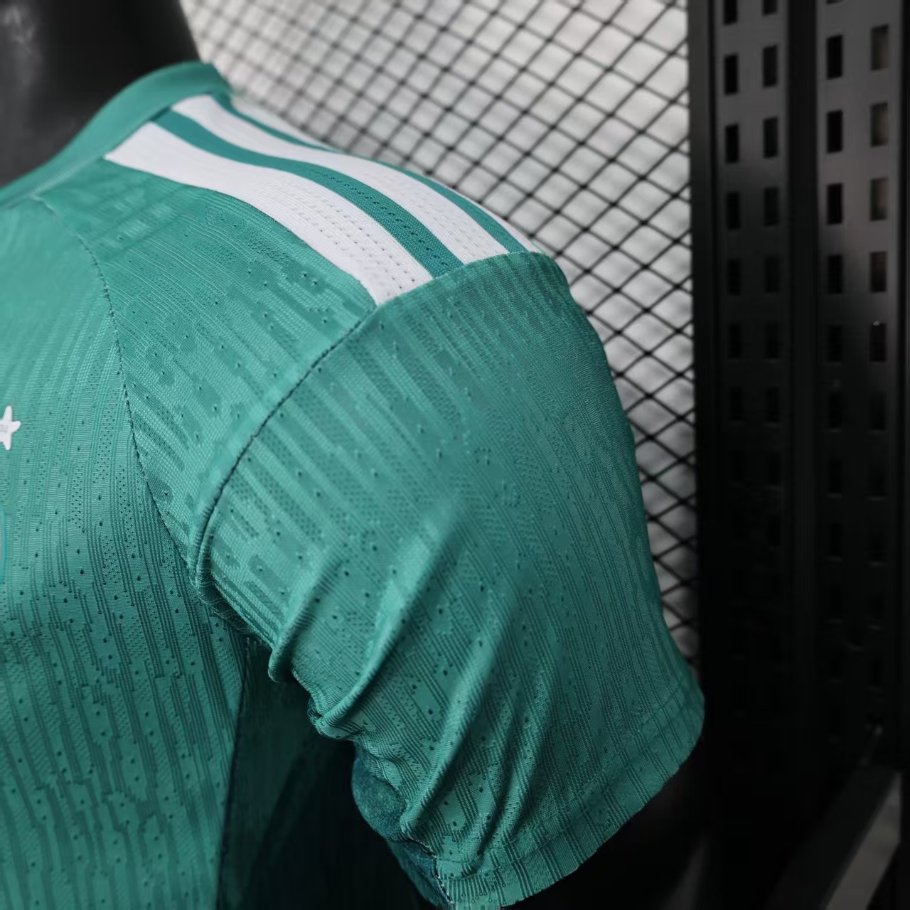 Germany Player Version Training Top 5