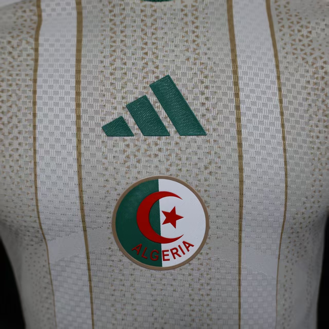 26 Algeria Home Player Version 5