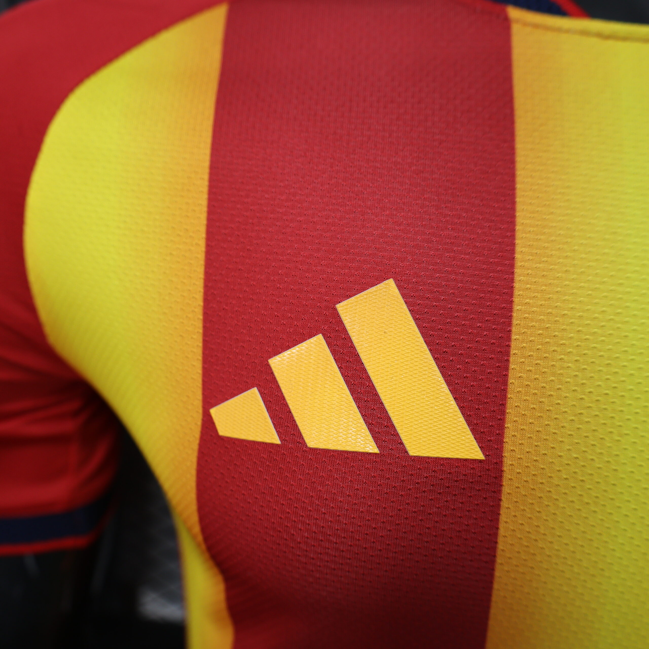 Spain Special Edition Player Version 6