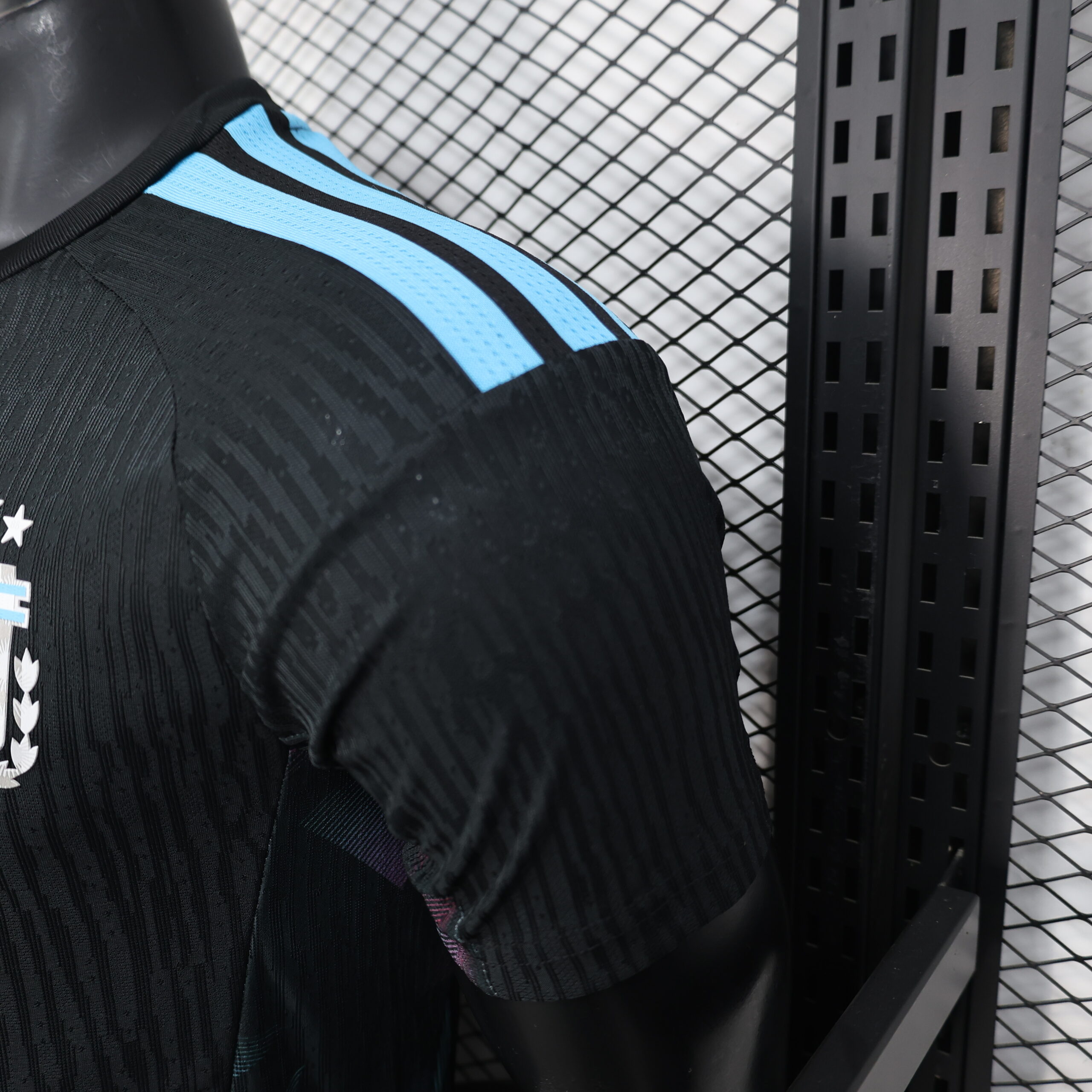 Argentina Player Version Training Top 6