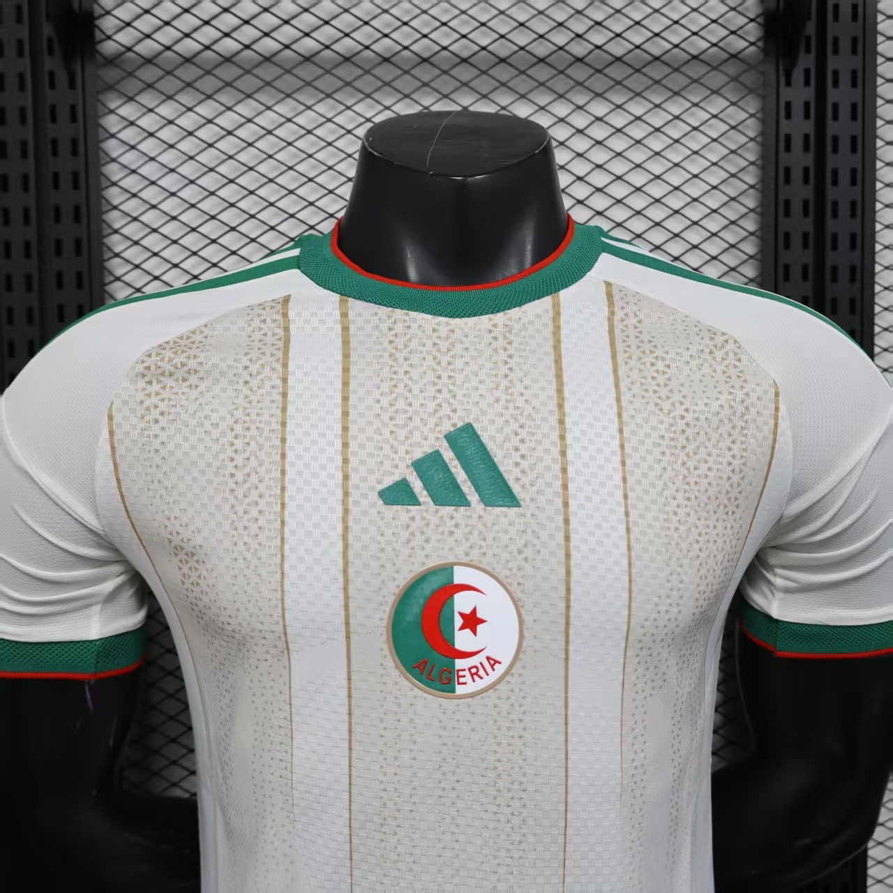 26 Algeria Home Player Version 6