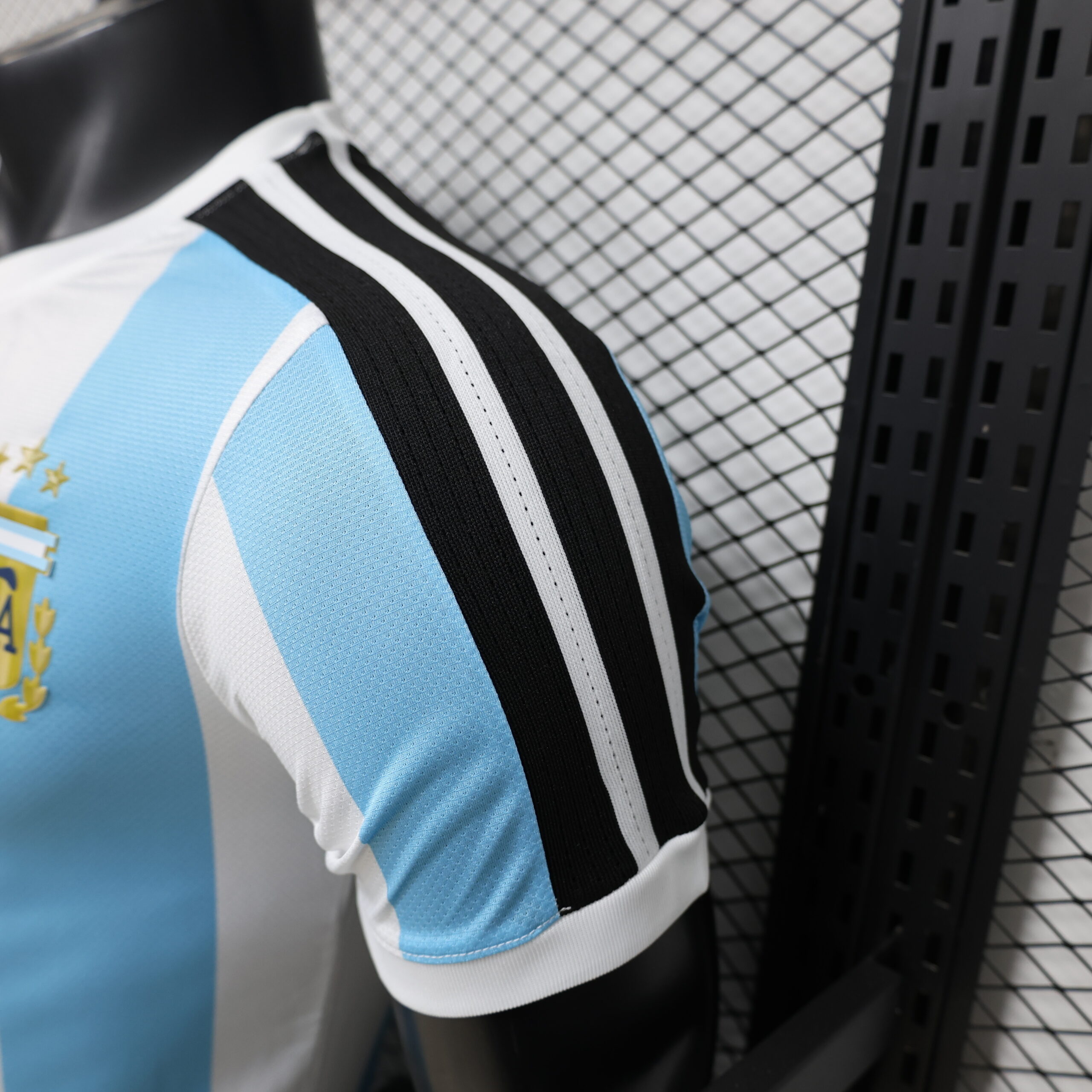 Argentina Special Edition Player Version 6