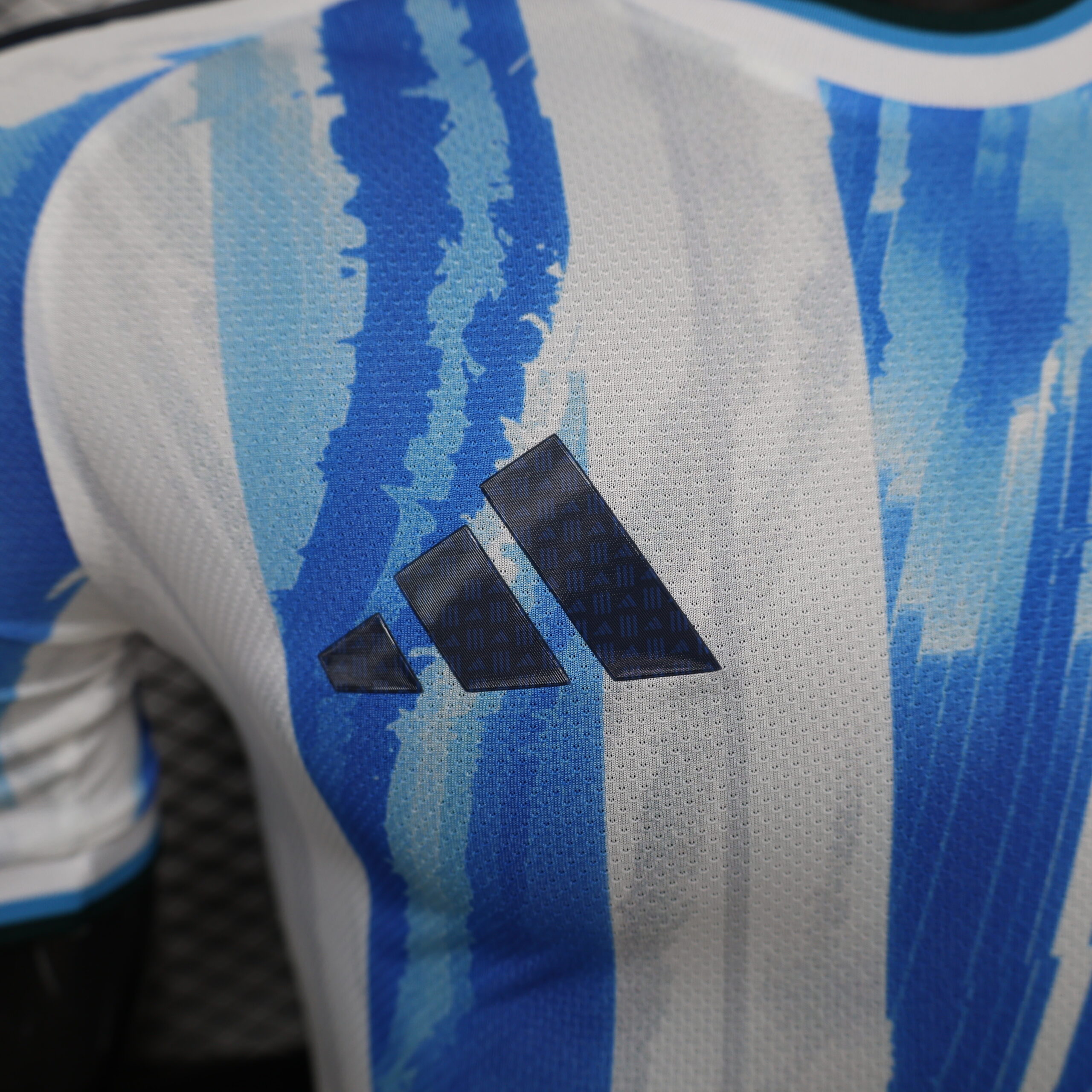 Argentina Special Edition Player Version 6