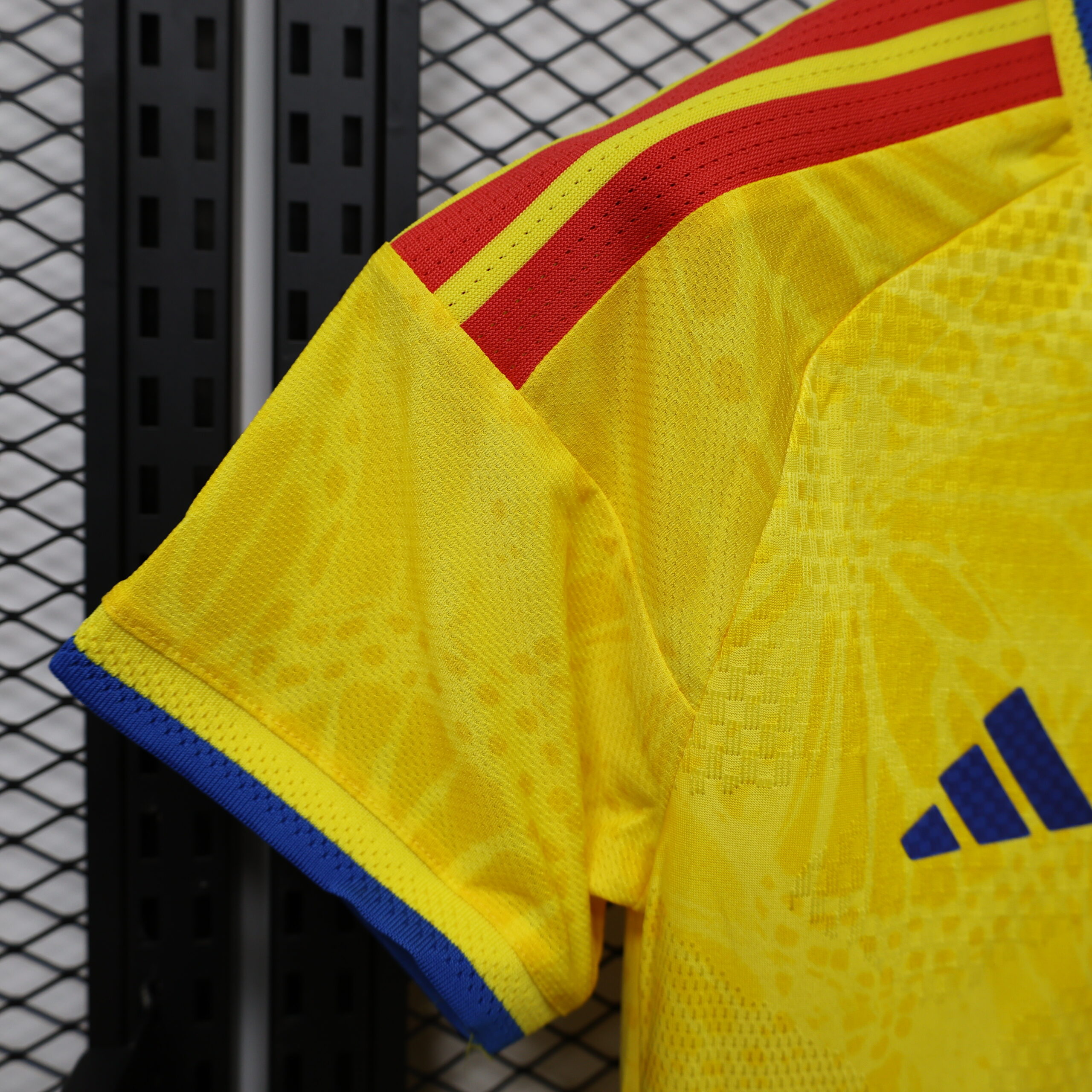 Colombia Women's Player Version Shorts 6