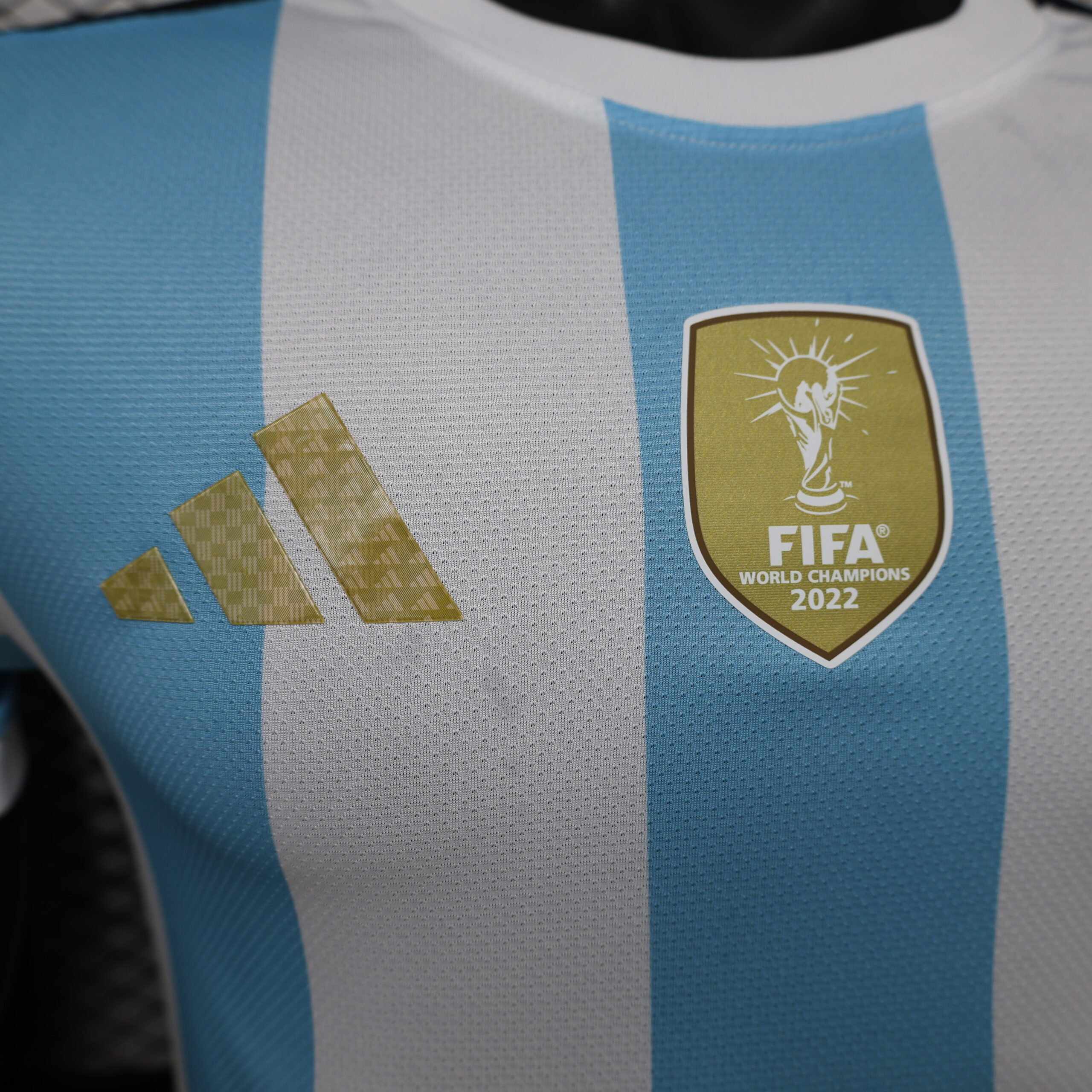 Argentina Special Edition Player Version 7