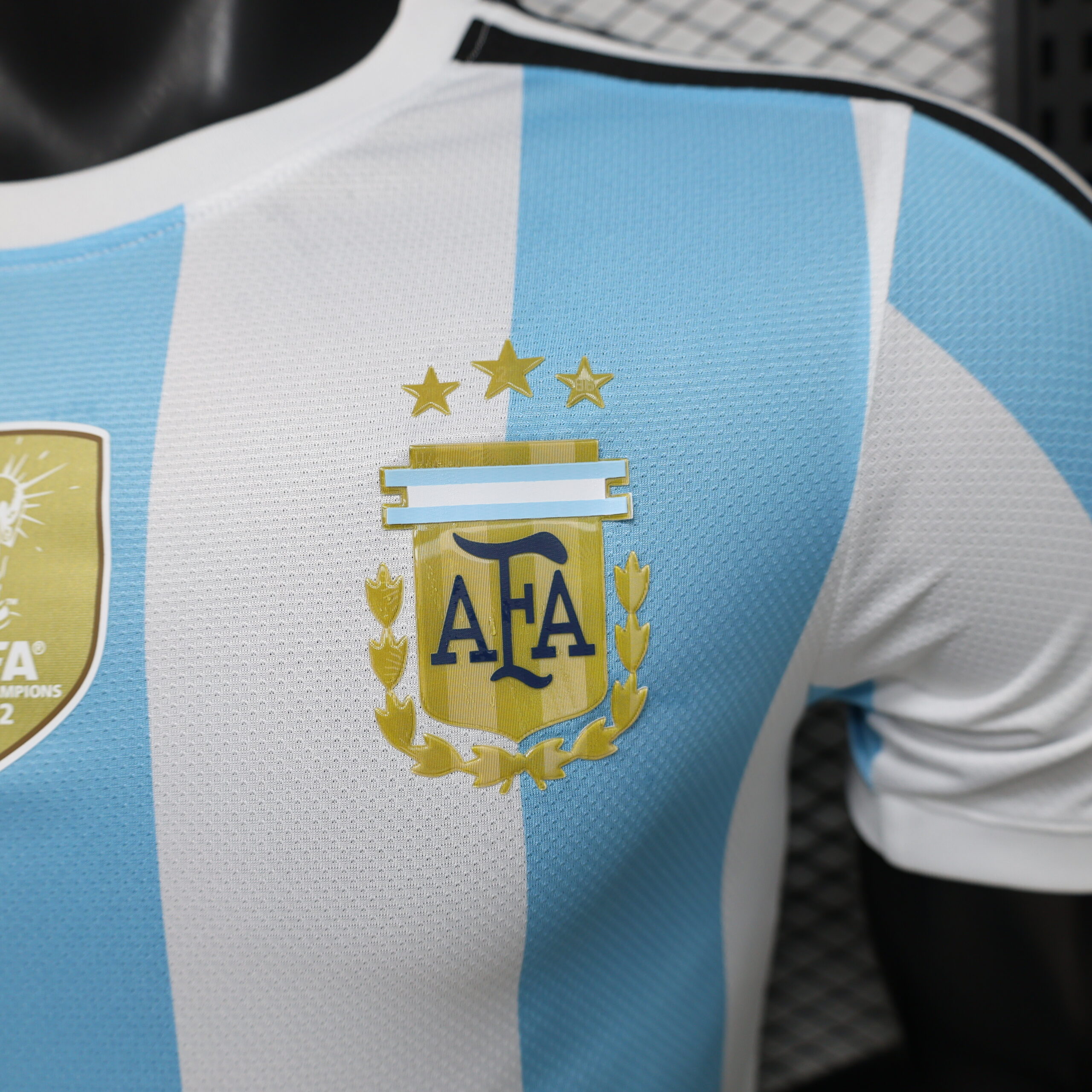 Argentina Special Edition Player Version 8