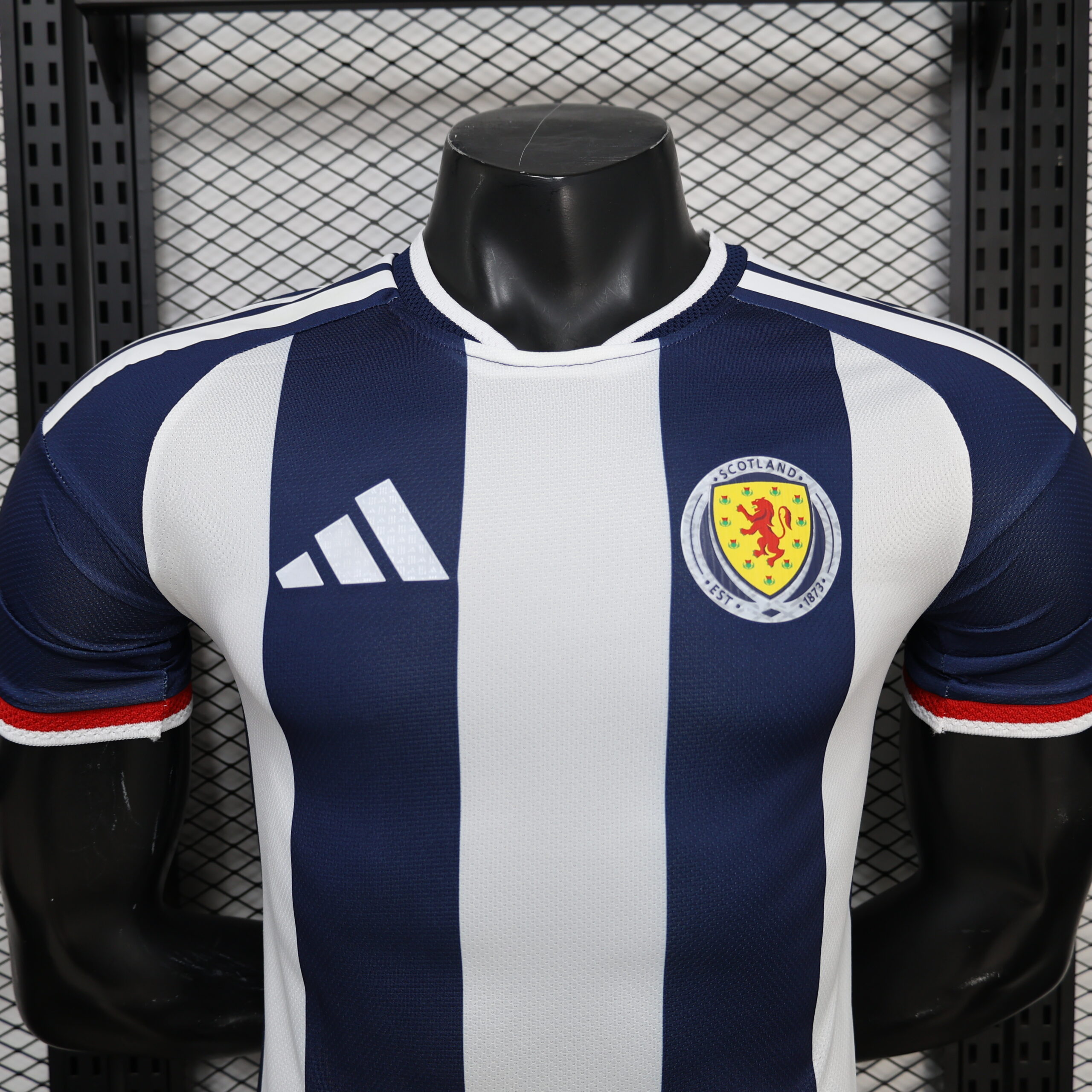 Scotland Player Version Special Edition 8