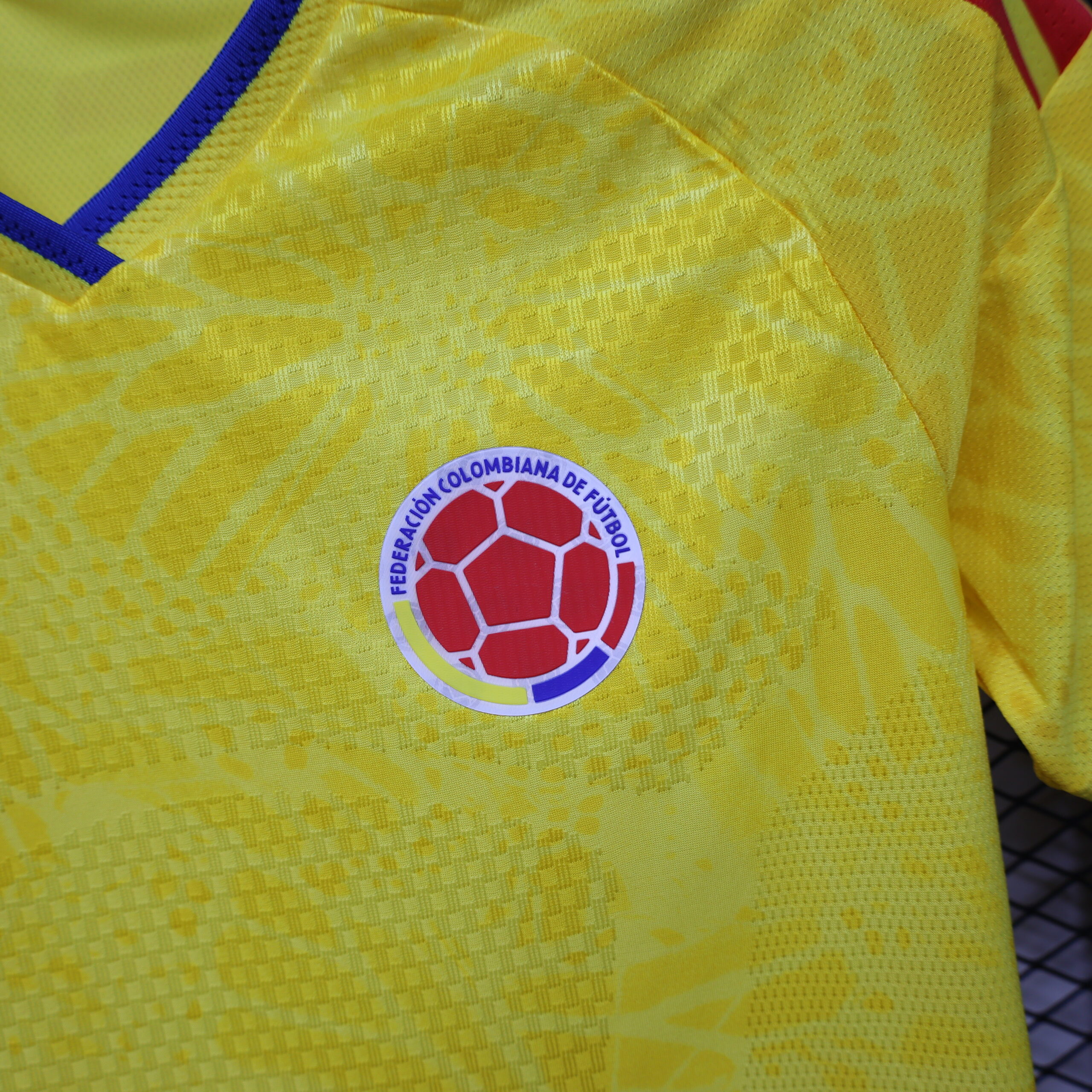 Colombia Women's Player Version Shorts 8