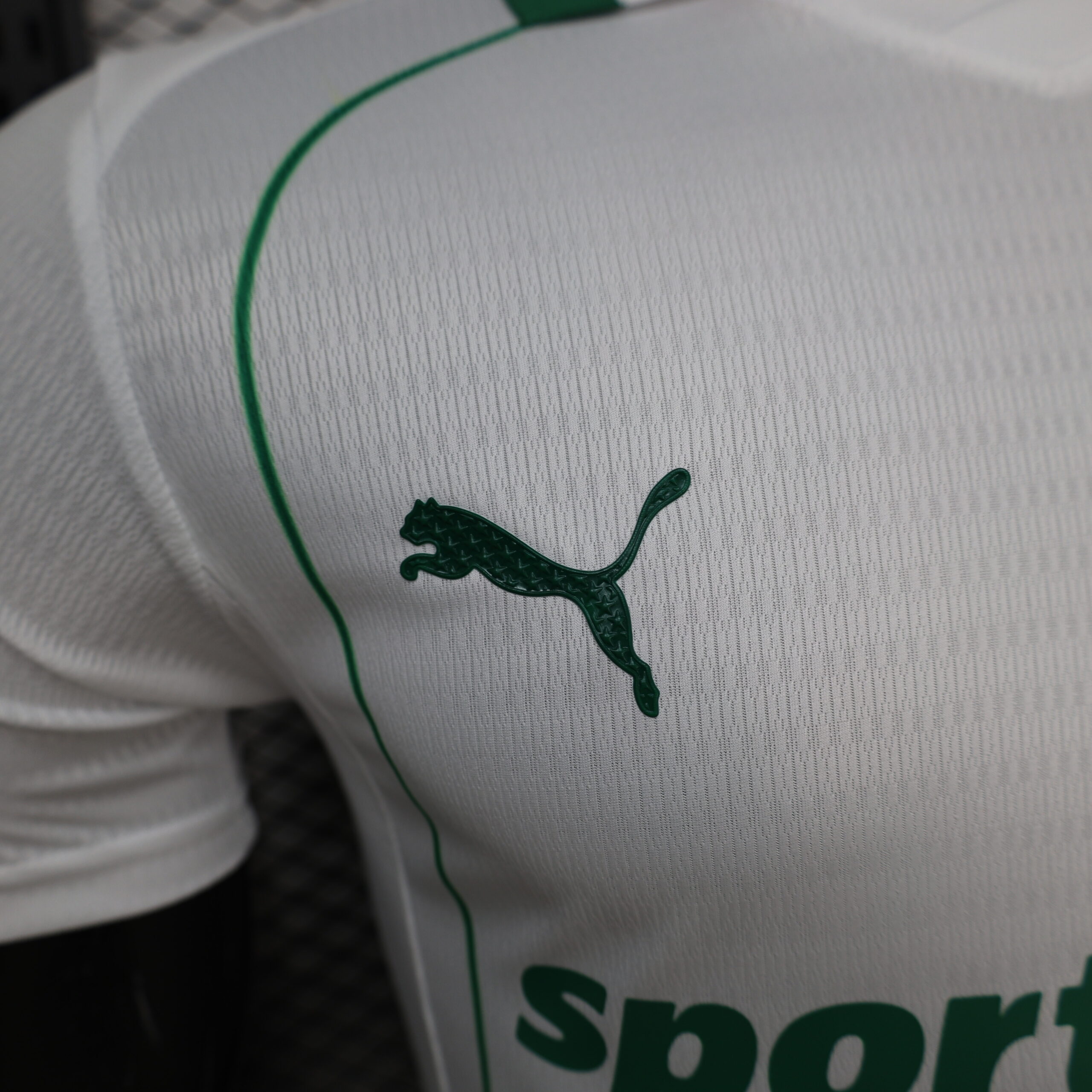 26-27 Palmeiras Away Jersey S-3XL 8