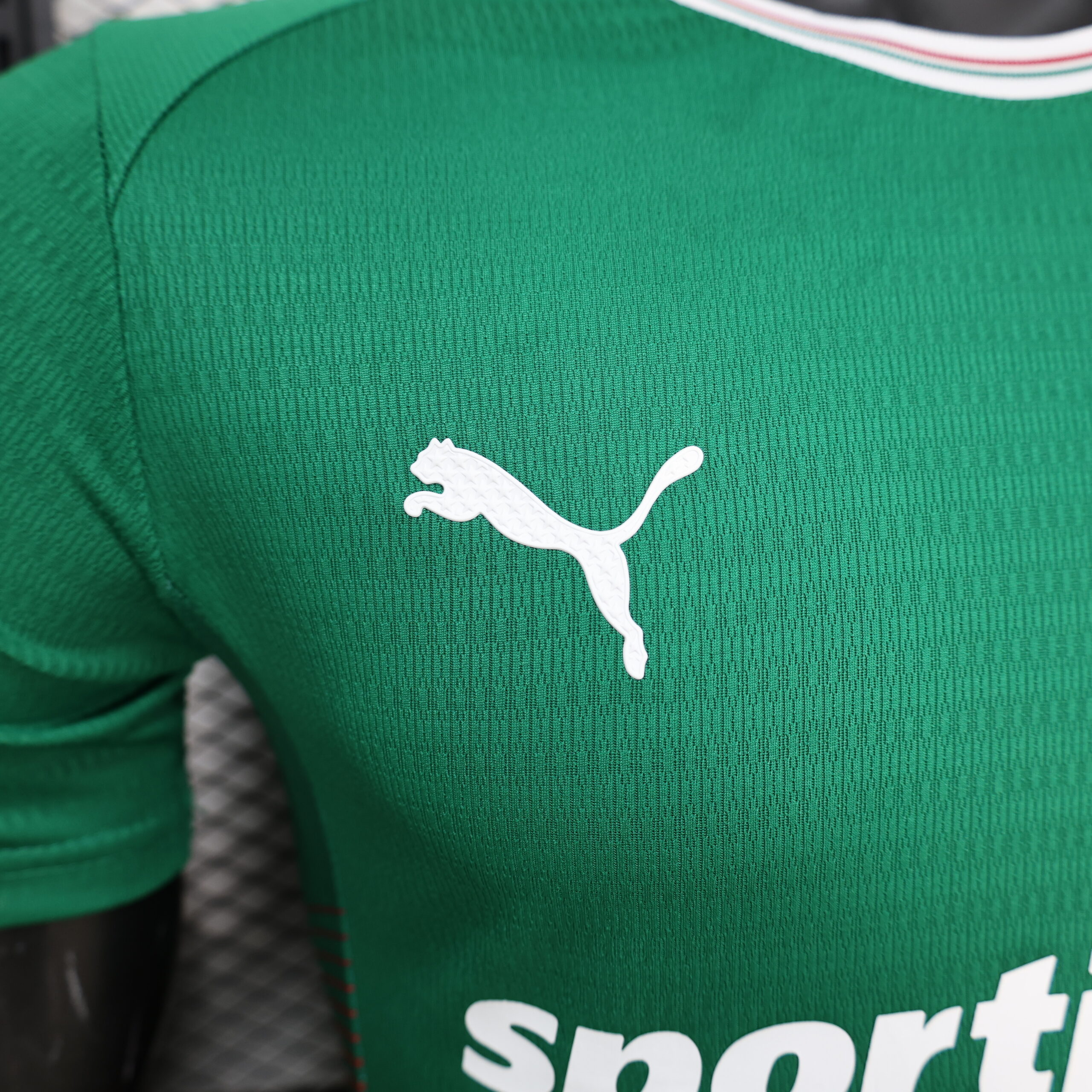 26-27 Palmeiras Home Jersey S-3XL 8